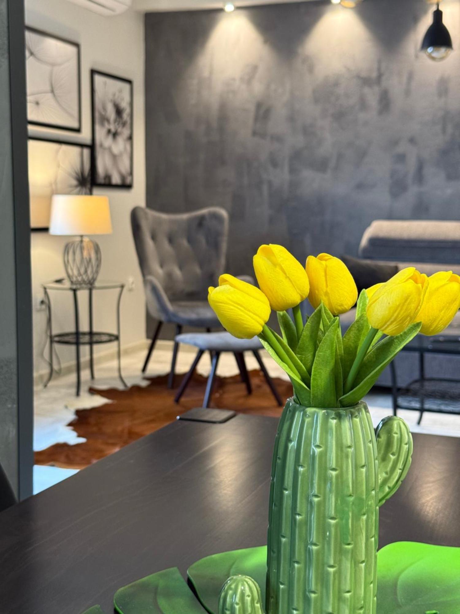 Apartman Pannonica Pin 0-24H Slavonski Brod Exteriör bild
